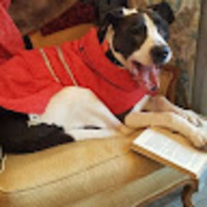 Meet your Posher, Donna